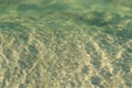 Small green waves near the shore of the ocean Royalty Free Stock Photo