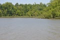 Small Wooded Island Across a Lake