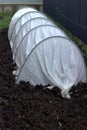 Small greenhouse for growing vegetables in spring