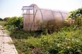 A small greenhouse with plantings inside is near the road, next to it grows green plants and grass, there is a watering can, tools Royalty Free Stock Photo