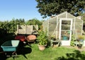 Small greenhouse and wheelbarrows in a garden on sunny day