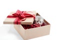 Small grey fluffy adorable kitten sitting in cardboard box with red birthday bow on top being a present for special Royalty Free Stock Photo