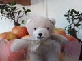 A Teddy Bear With Apples