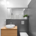 Small grey and white bathroom