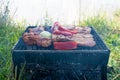 Small Grill, Barbecue, Bbq with Smoke, Mini Barbecue with Grilled Meat and Vegetables Royalty Free Stock Photo