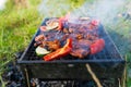 Small Grill, Barbecue, Bbq with Smoke, Mini Barbecue with Grilled Meat and Vegetables Royalty Free Stock Photo