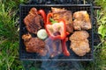 Small Grill, Barbecue, Bbq with Smoke, Mini Barbecue with Grilled Meat and Vegetables Royalty Free Stock Photo