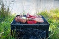 Small Grill, Barbecue, Bbq with Smoke, Mini Barbecue with Grilled Meat and Vegetables Royalty Free Stock Photo