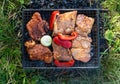 Small Grill, Barbecue, Bbq with Smoke, Mini Barbecue with Grilled Meat and Vegetables Royalty Free Stock Photo