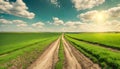 small ground road among green rural fields at sunny