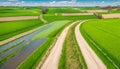 small ground road among green rural fields at sunny