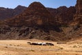 A desert camp with bedouin tents Royalty Free Stock Photo