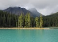 Small Group Of Cedar Trees On Lake Maligne Jasper National Park