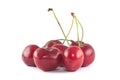 Small group of cherries Royalty Free Stock Photo