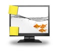 Small group of goldfish inside LCD screen