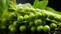 A small group green peas on a green background