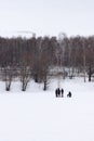 A small group of people on the frozen lake during a winter. One is sitting. Lots of trees without leaves and a smoke comming from Royalty Free Stock Photo