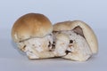 Small group of three isolated porcini mushrooms large and small, steinpilz
