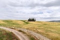 Small grove of cypress trees in the hills of Tuscany and a rural road Royalty Free Stock Photo