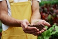 Small growing flower. Mens hands holding the soil with little plant in the middle Royalty Free Stock Photo