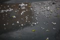 small hail ice balls on black car bonnet after summer storm Royalty Free Stock Photo