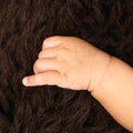 Hand of newborn baby boy Royalty Free Stock Photo