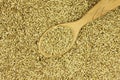 Small handful of canary grass seed in a wooden spoon Royalty Free Stock Photo