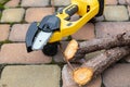 Small handheld lithium battery powered chainsaw with cutted twigs, branches of a fruit tree on a paving slabs. The concept of Royalty Free Stock Photo