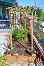 Small handmade gardens on terraces rooftop of house for thai farmer people working hobby small gardening growing tree fruits