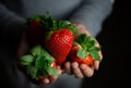 Small hands holding a fresh strawberry - horizontally