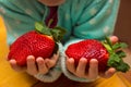 Large ripe strawberry, child holds two huge strawberries in his hands