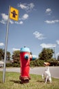 Small Happy Dog and Big Fire Hydrant Royalty Free Stock Photo