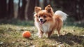 Small happy dog playing with pet toy ball at backyard lawn. Generative AI