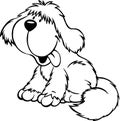 A small and happy shaggy dog. Royalty Free Stock Photo