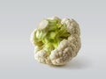 Small head of fresh cauliflower on a light background Royalty Free Stock Photo