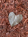 Small heart shaped leaf resting on pine bark