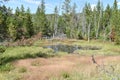 A Small Heated Pool, Yellowstone National Park