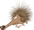 Small hedgehog. Cartoon Royalty Free Stock Photo