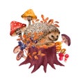 Small hedgehog in fall on forest stump design. Autumn mushrooms, wild plants, berries and yellow leaves. Artist hand