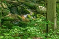 Small Majestic Waterfall in a Boulder Field