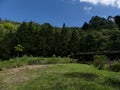 Small hill and barn in front of a forest Royalty Free Stock Photo