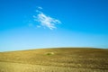 Small hill with cloud