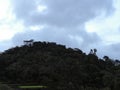 A Small Hill Covered with many Trees, With A Cloudy Sky Above Royalty Free Stock Photo