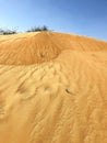 The small hill of desert sands with some herbs and trees