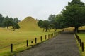Small hill in suizenji garden Royalty Free Stock Photo