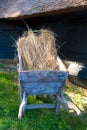 Old wooden wheelbarrow with straw in on grass in courtyard