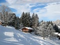 Small holiday house in alps