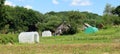 Small homemade plastic greenhouses in a rustic garden