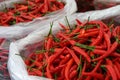 Small ripe red hot pepper in plastic bags Royalty Free Stock Photo