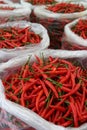 Small ripe red hot pepper in plastic bags in fresh market Royalty Free Stock Photo